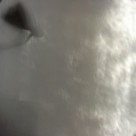 Shadows