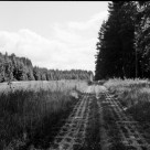 Kolonnenweg