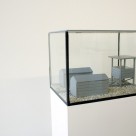 Fish Camp