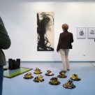 Exhibition Plan B
